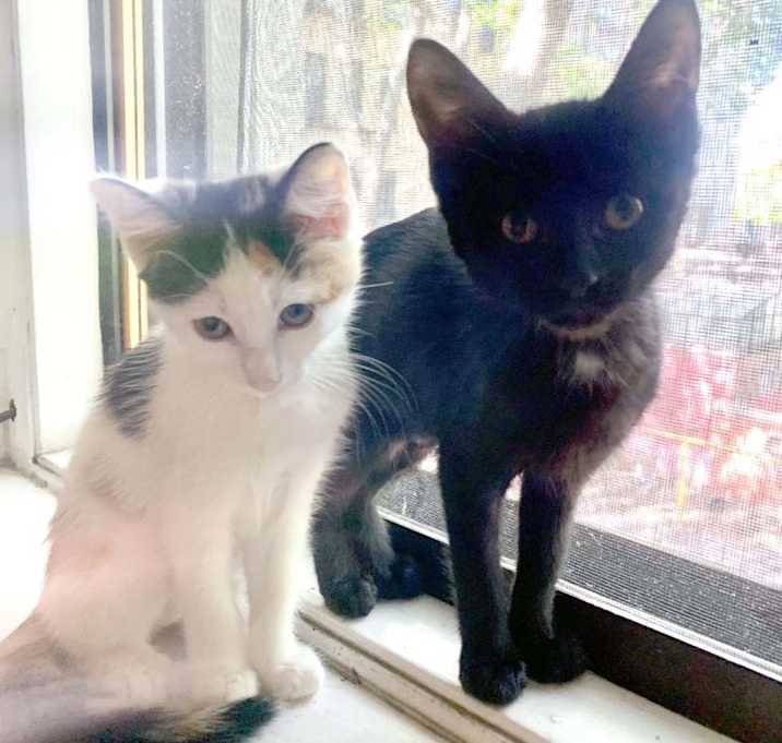 Photo of Nora and Fiona
