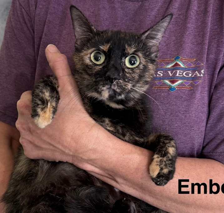 Photo of Ember