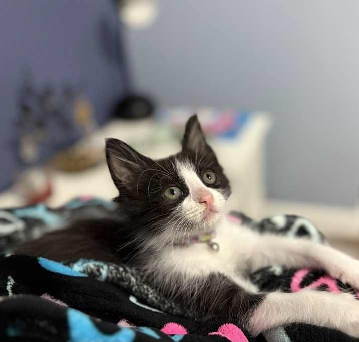 Photo of Neutron