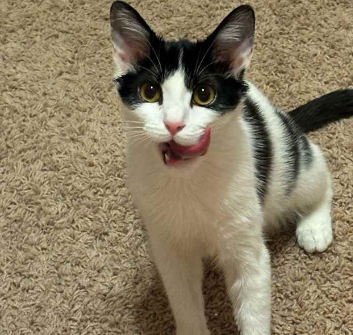 Photo of Bonnie