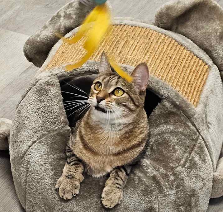 Photo of Billie Jean