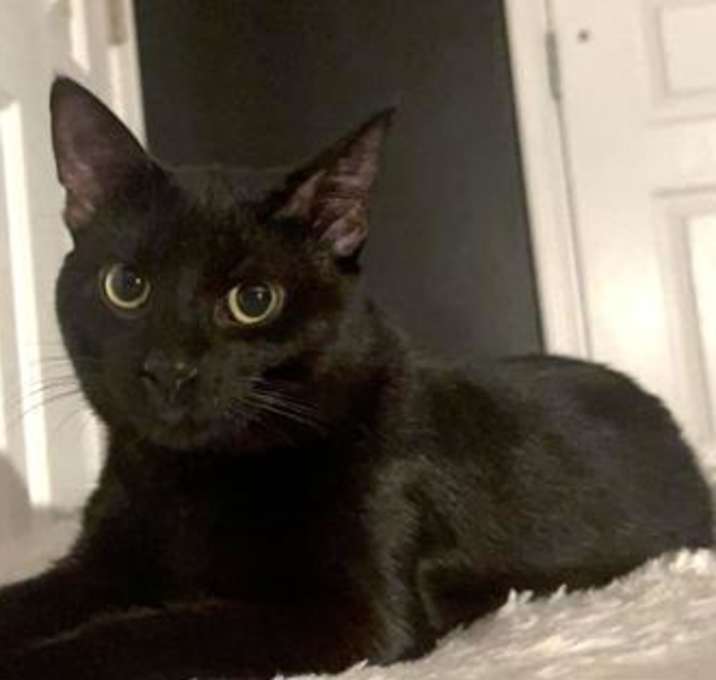 Photo of Emilio