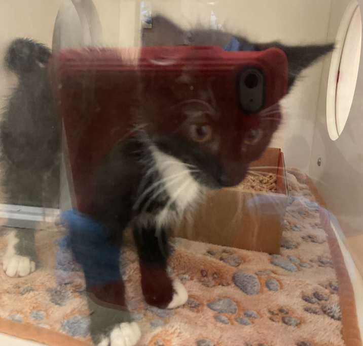 Photo of Asher