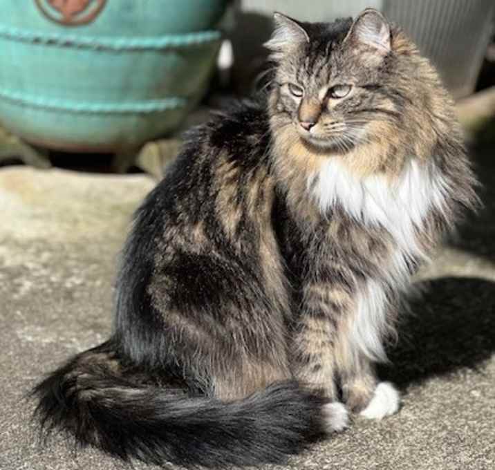 Photo of Coco