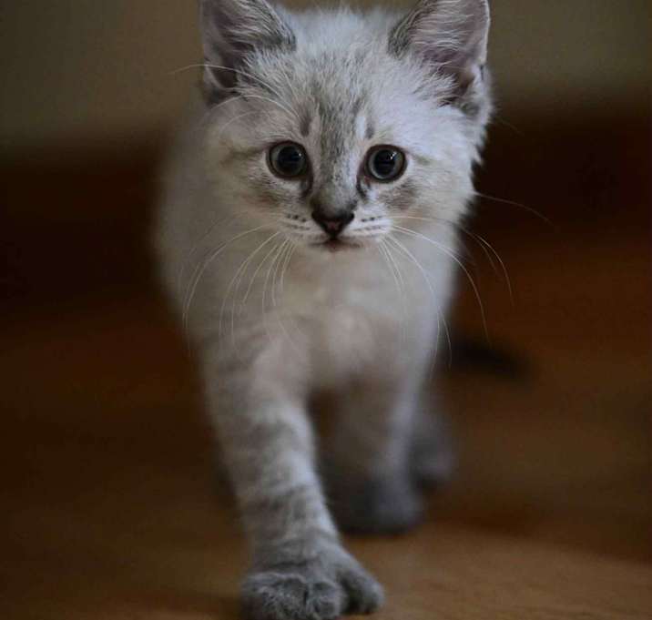 Photo of Ivan