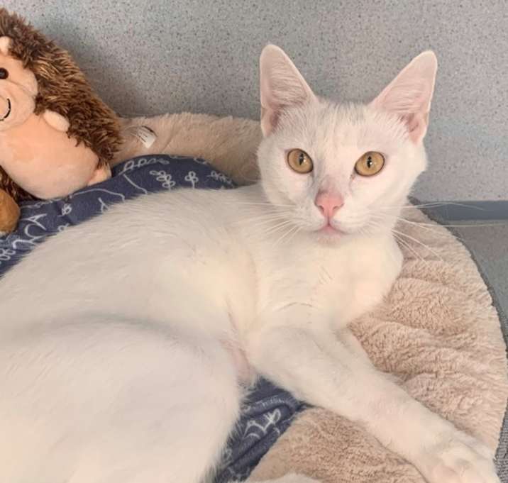 Photo of Duchess