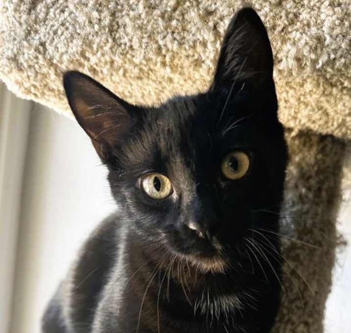 Photo of Luna Baby