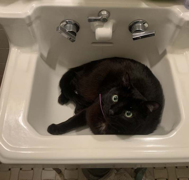 Photo of Squeak