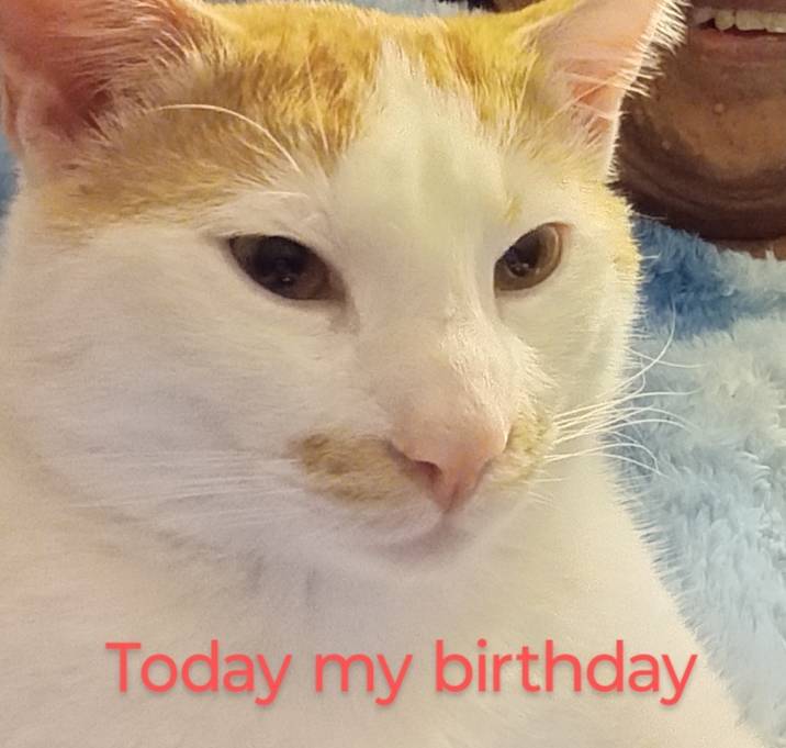 Photo of Oliver