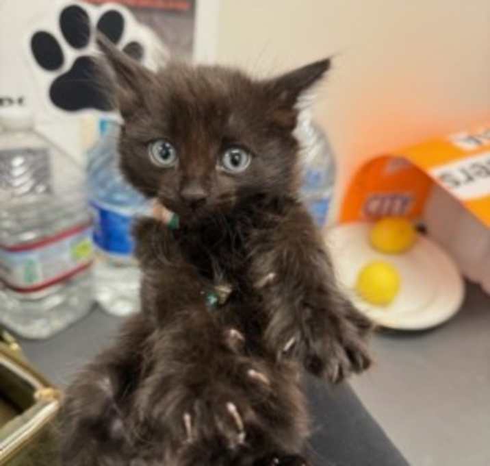 Photo of LARRY