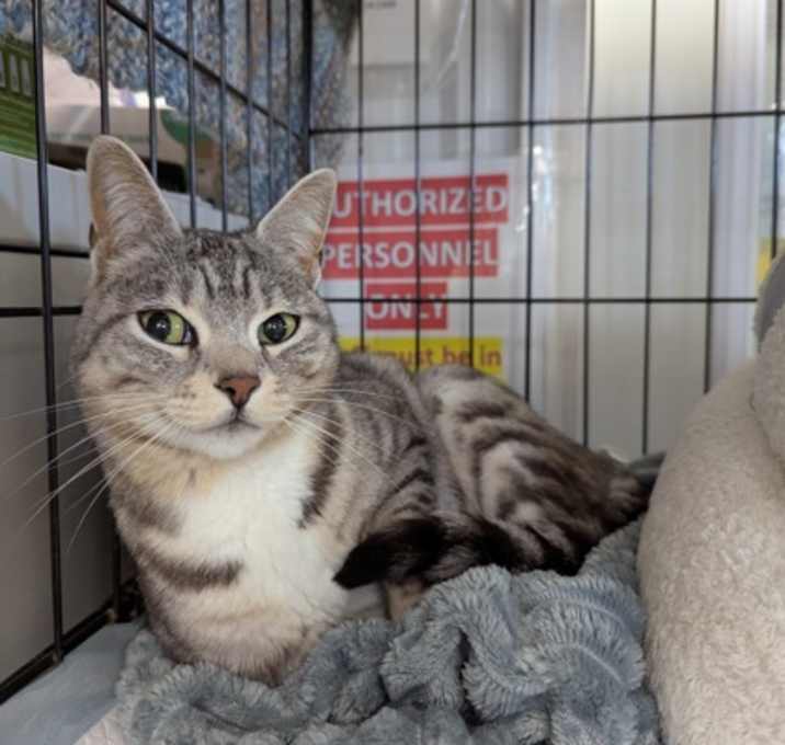 Photo of Tiny