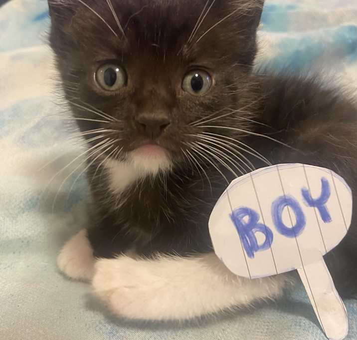 Photo of No name yet!