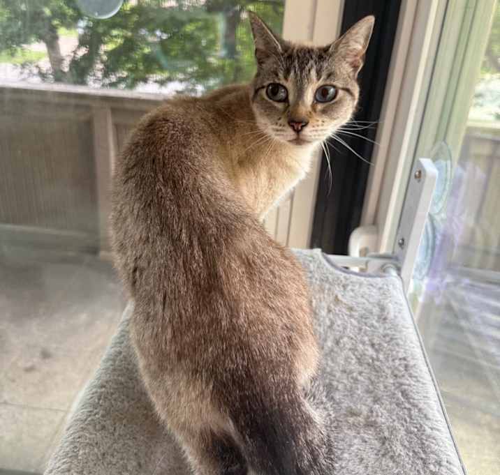 Photo of Hazel
