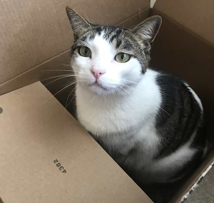 Photo of Bob