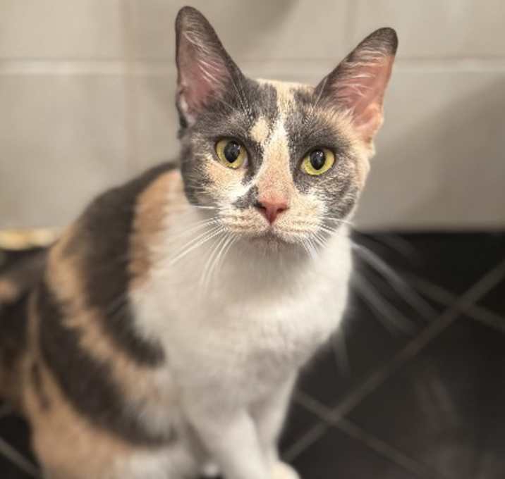 Photo of Mia
