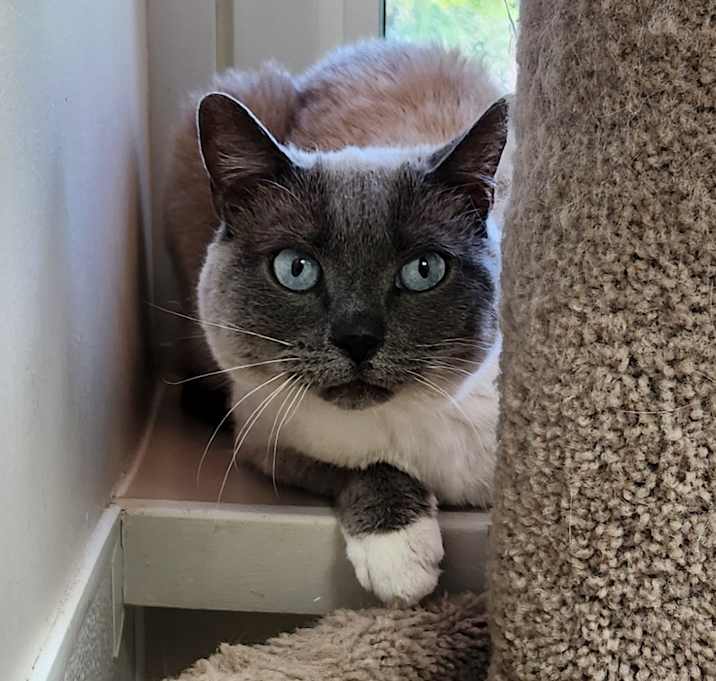 Photo of Butter