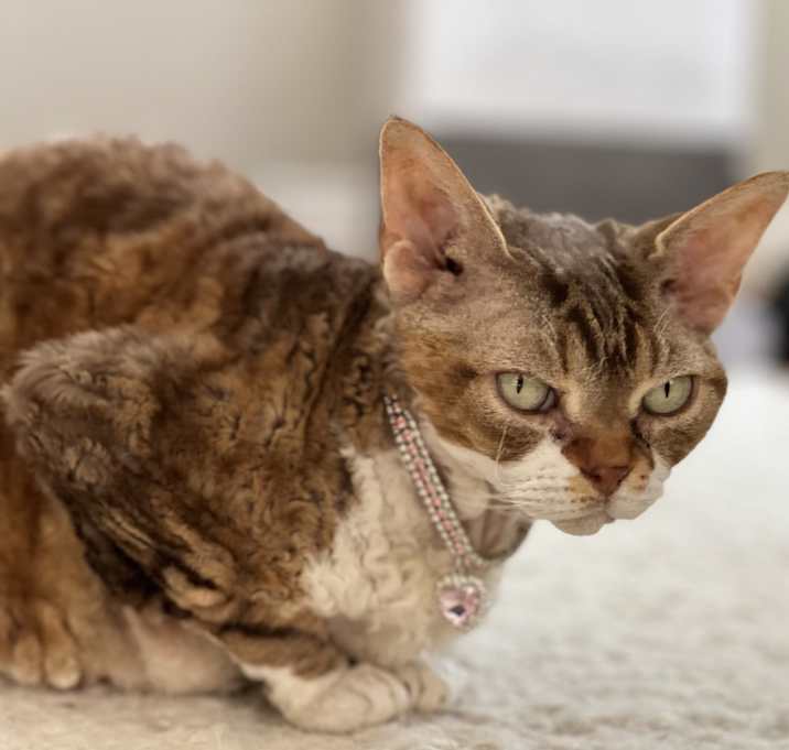 Photo of Mei-Mei