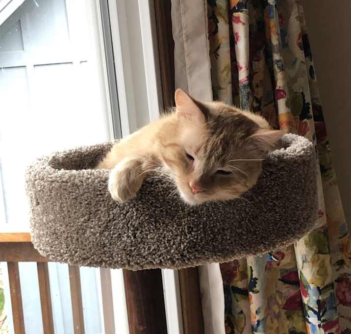 Photo of Slouch