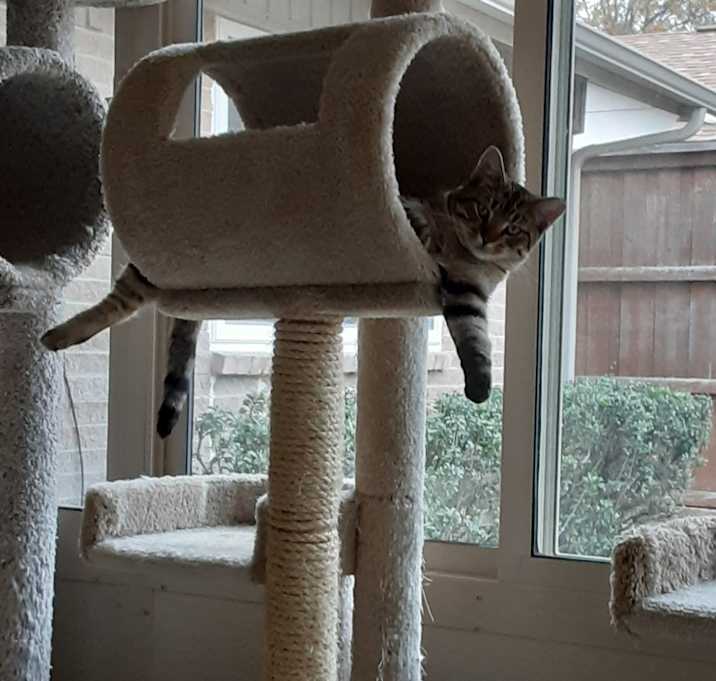 Photo of TIGGER