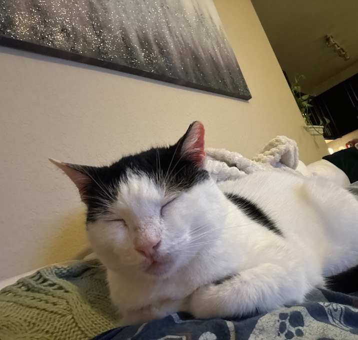 Photo of Alice