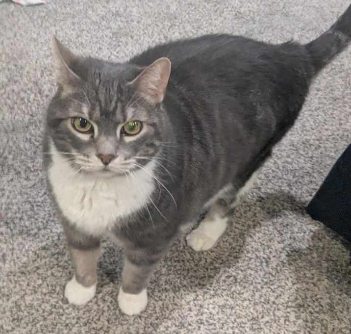 Photo of Sheldon