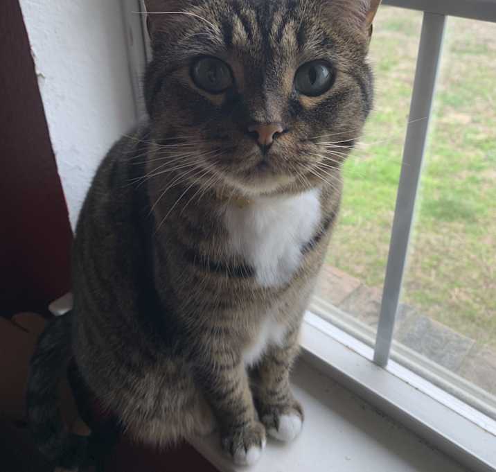 Photo of Ziggy