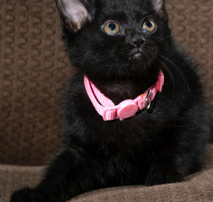 Photo of Twix