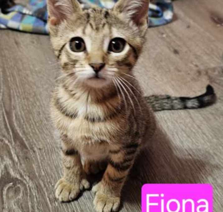 Photo of Fiona