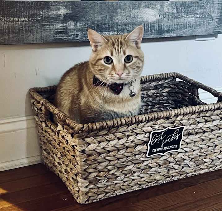 Photo of Major