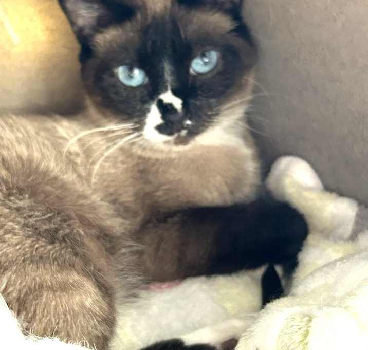 Photo of Princess Poppy