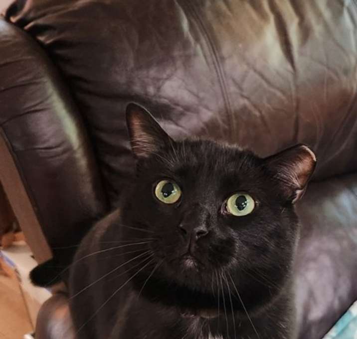 Photo of Mr Biggs