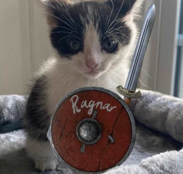 Photo of Ragner