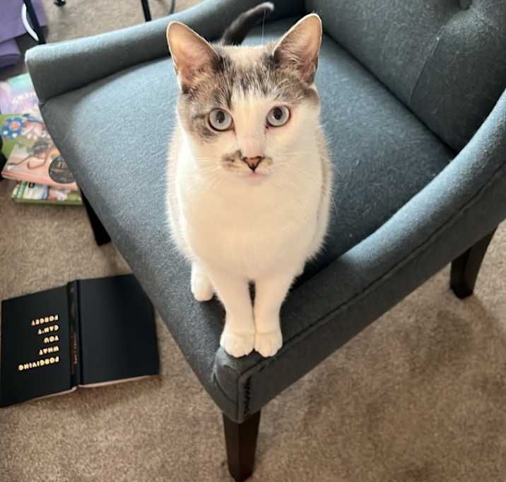 Photo of Olivia