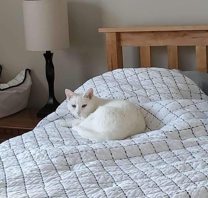 Photo of Evie