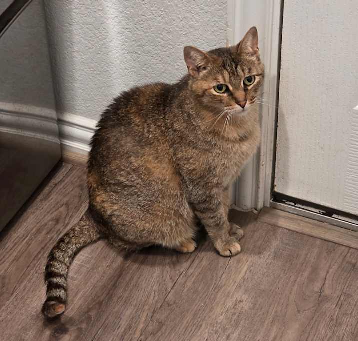 Photo of Kit Kat