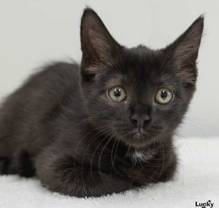 Photo of Alethia