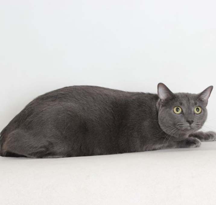 Photo of Pete