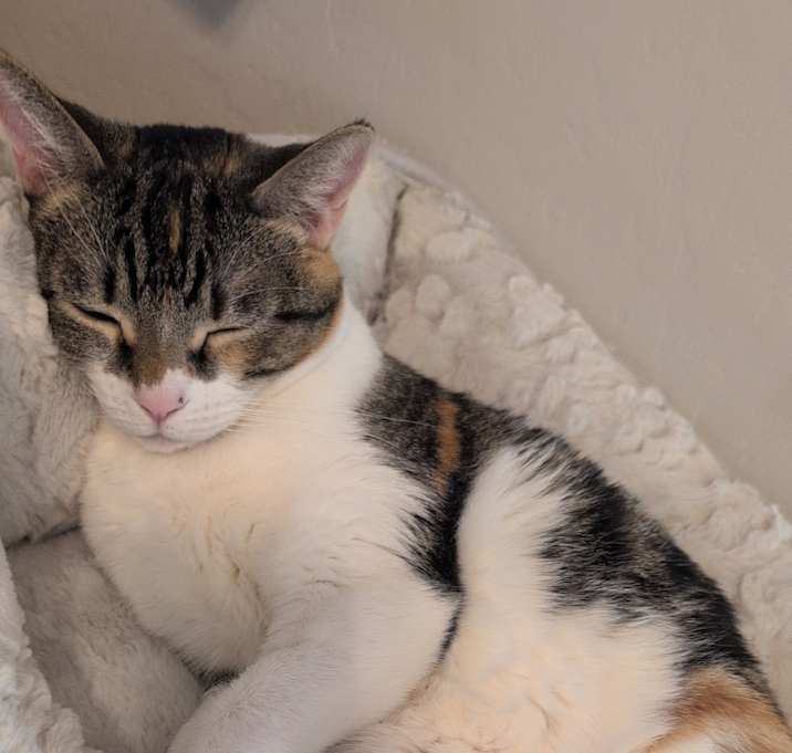 Photo of Lexie