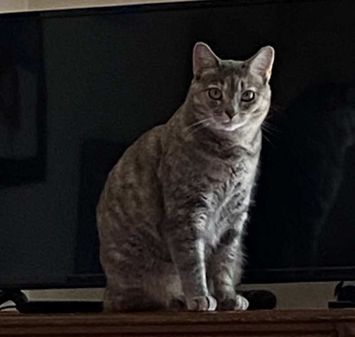 Photo of Fiona