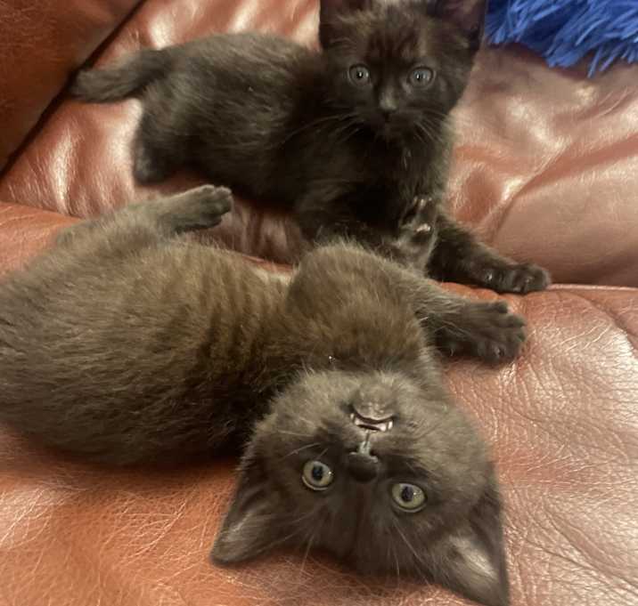 Photo of Happy and Lucky