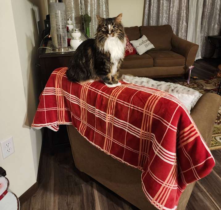 Photo of Zeus