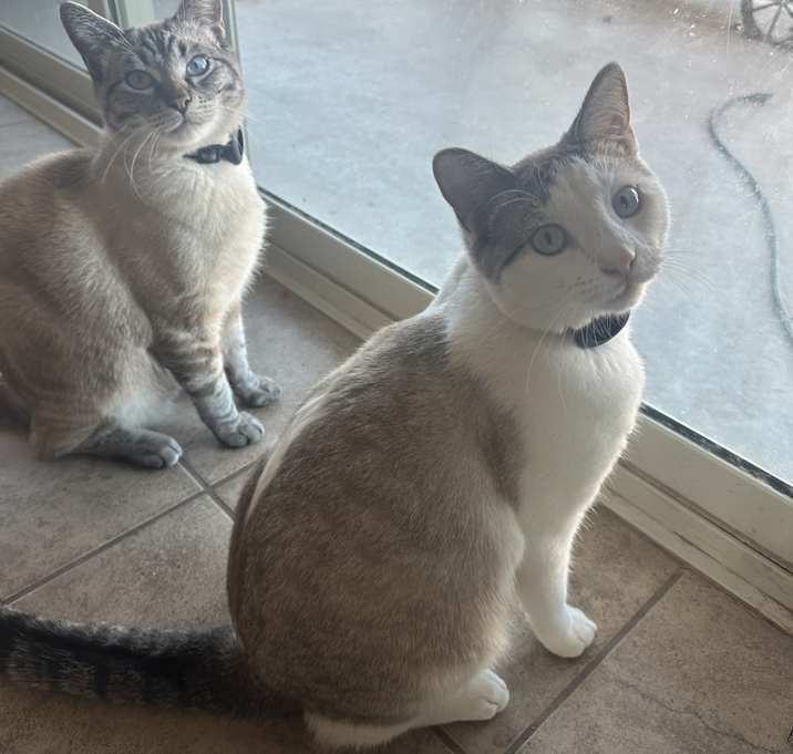 Photo of Abby & Otis
