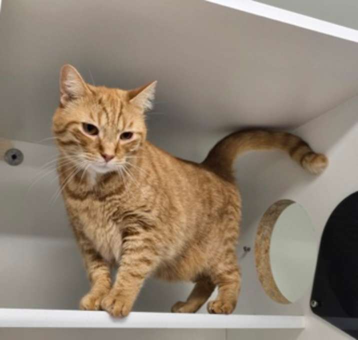 Photo of Bigglesworth