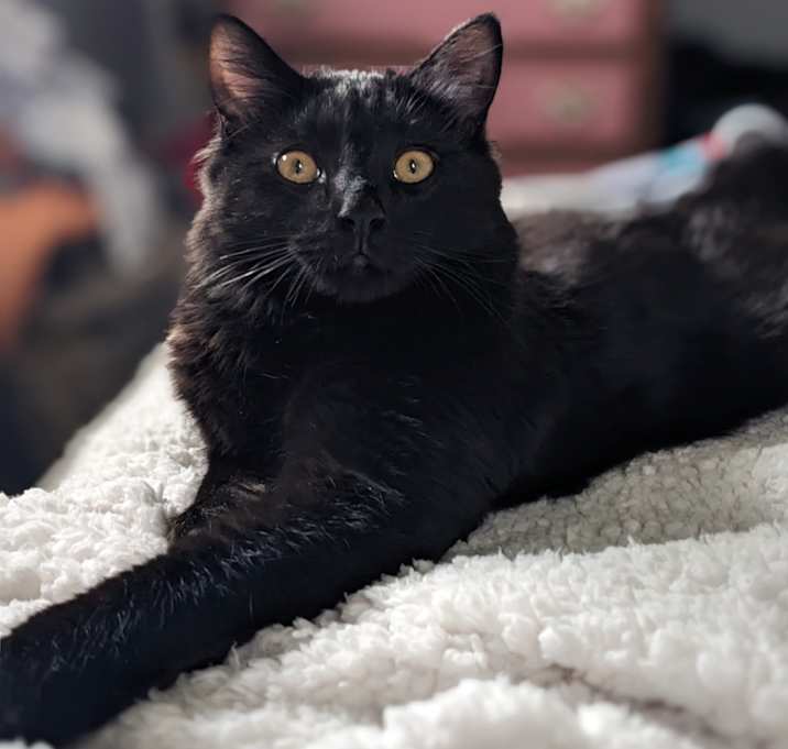 Photo of Pepper Cornelius