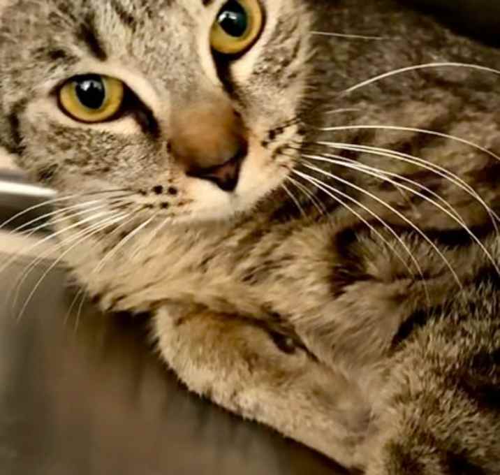 Photo of SASHA