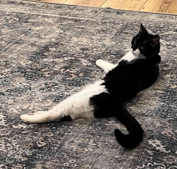 Photo of Finnigan