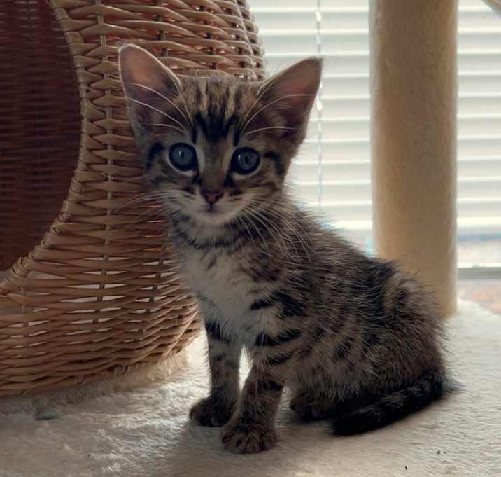 Photo of Brother