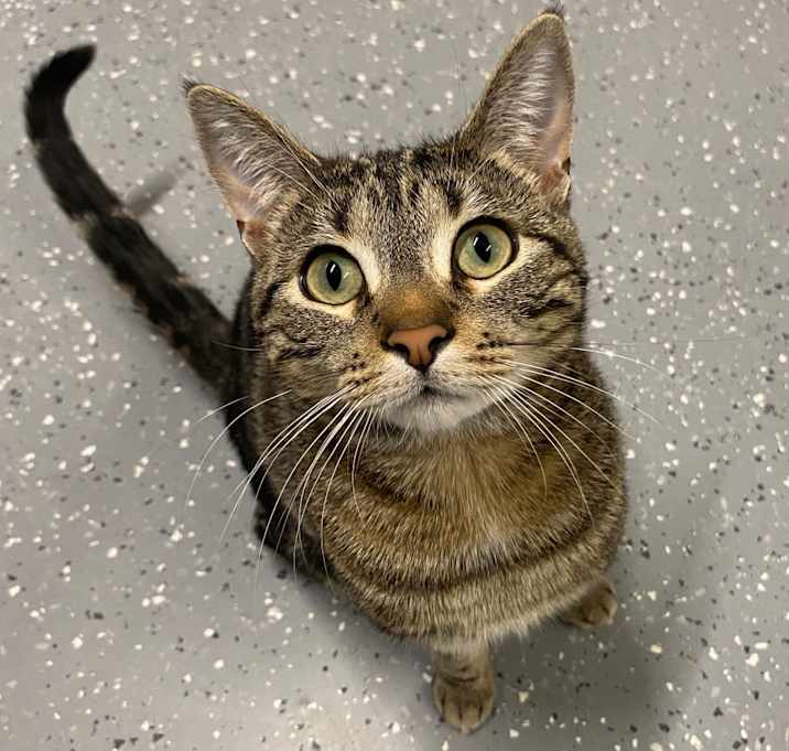 Photo of Talulah