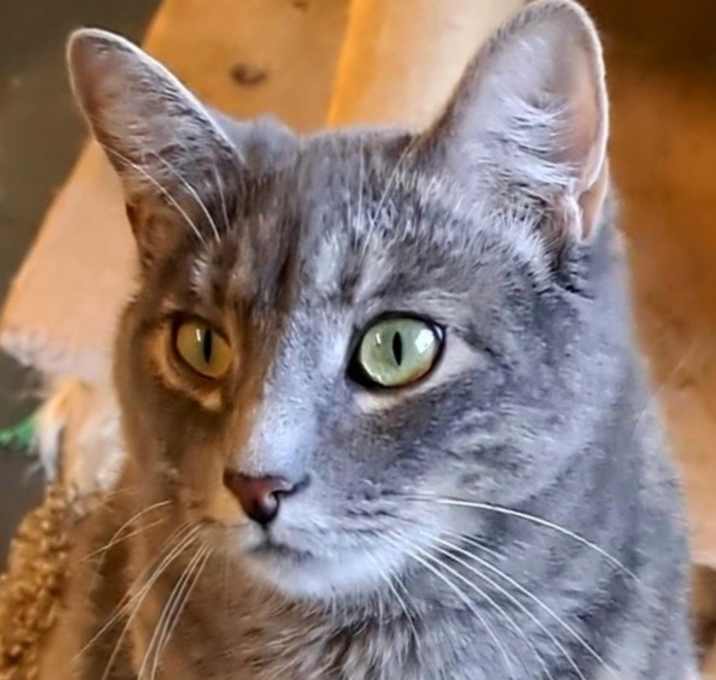 Photo of Zanna