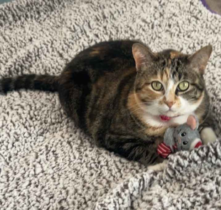 Photo of FeeFee